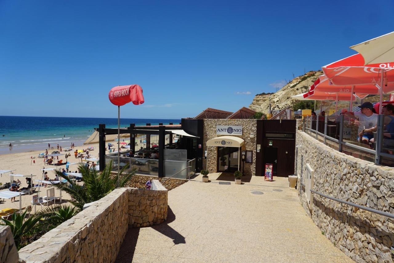 Casa Palmeira *
